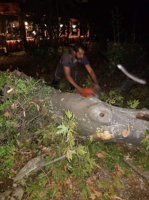 Φωτογραφία Aποκατάσταση ζημιών