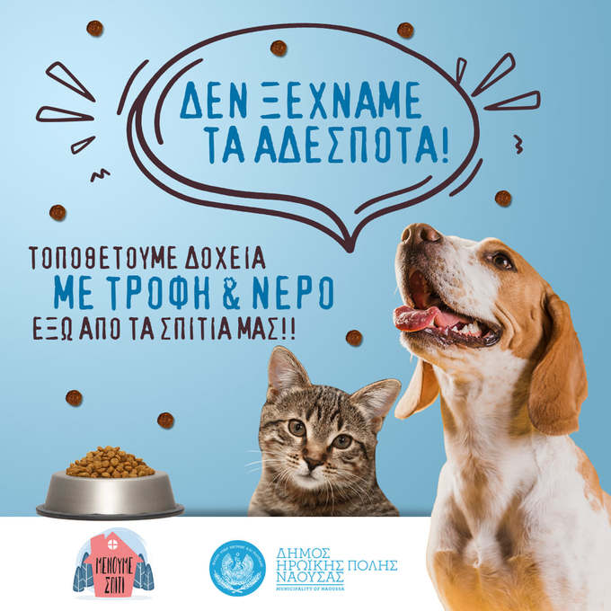 Φωτογραφία Δεν ξεχνάμε τα αδέσποτα