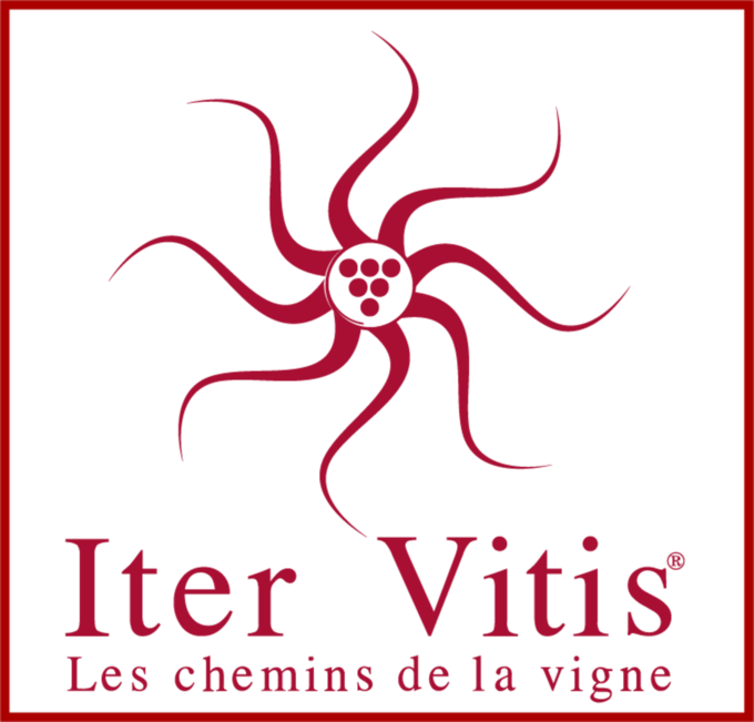 Φωτογραφία Ευρωπαϊκό δίκτυο “IterVitis”