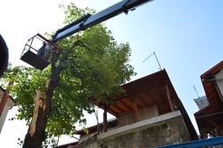 Φωτογραφία ΤΕΡΑΣΤΙΕΣ ΟΙ ΚΑΤΑΣΤΡΟΦΕΣ ΣΤΗΝ ΑΓΡΟΤΙΚΗ ΠΑΡΑΓΩΓΗ ΚΑΙ ΜΕΓΑΛΕΣ ΟΙ ΖΗΜΙΕΣ ΑΠΟ ΤΗΝ ΠΡΩΤΟΦΑΝΗ ΘΕΟΜΗΝΙΑ ΠΟΥ ΕΠΛΗΞΕ ΤΗ ΝΑΟΥΣΑ