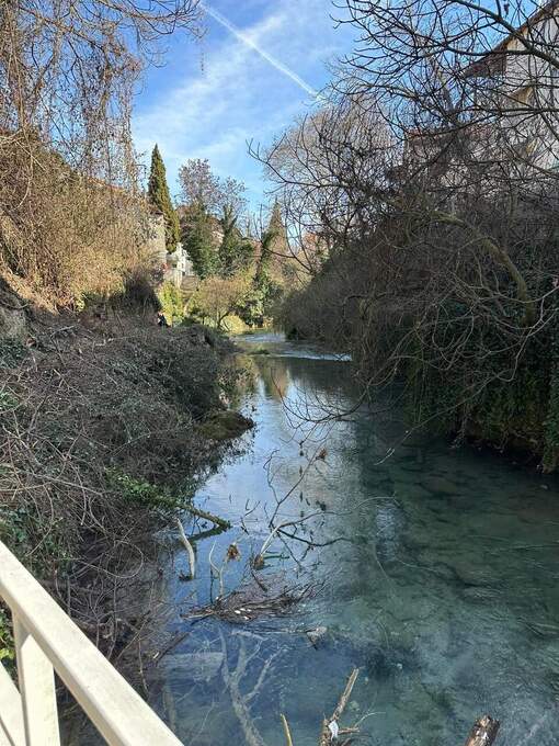 Eργασίες καθαρισμού και καλλωπισμού 