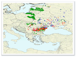 Φωτογραφία ΑΦΡΙΚΑΝΙΚΗ  ΠΑΝΩΛΗ  ΤΩΝ  ΧΟΙΡΩΝ