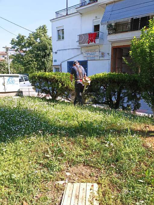 Εργασίες περιποίησης του αστικού πρασίνου 