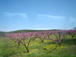 Φωτογραφία Έγκριση χρηματοδότησης έργων αγροτικής οδοποιίας ύψους 922.600 ευρώ 